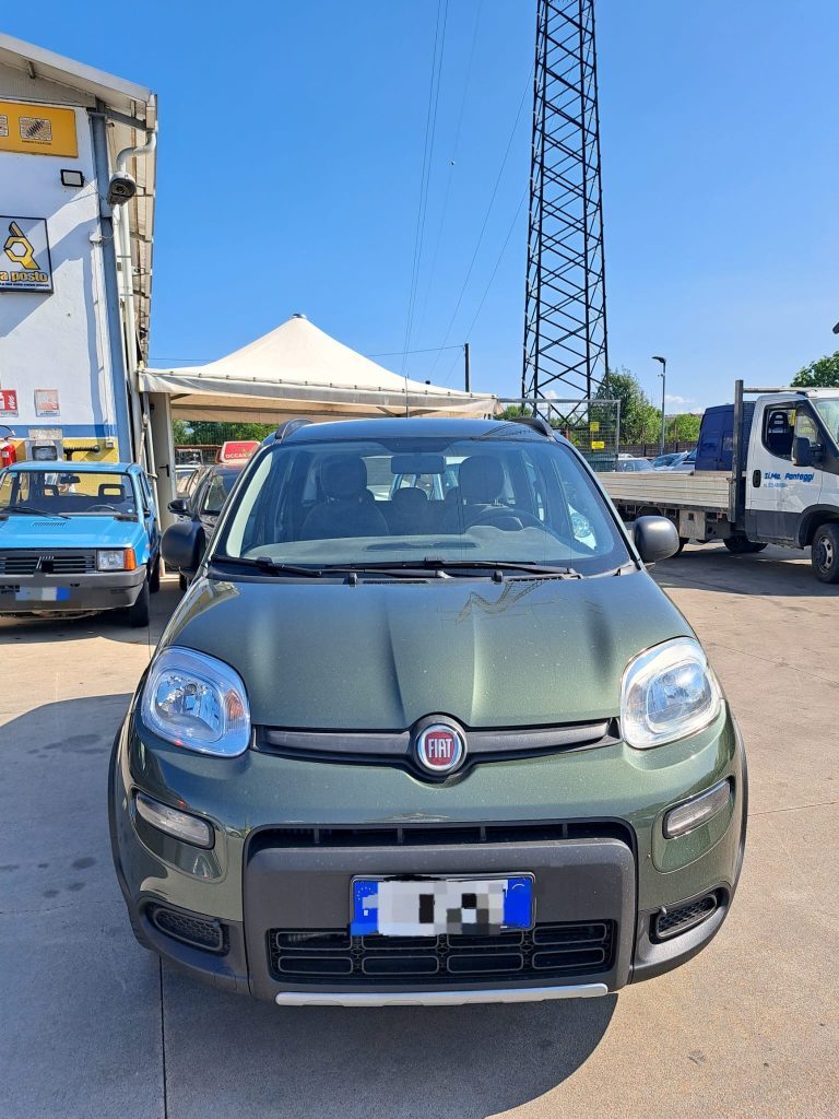 panda 1